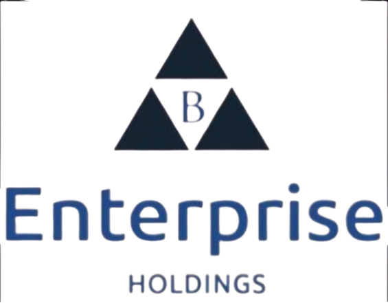 Bulk Enterprise Holdings